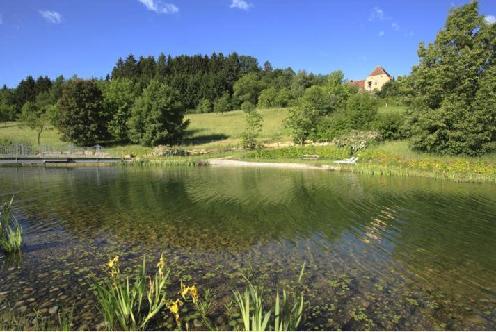 Schlosshotel Obermayerhofen Sebersdorf Esterno foto